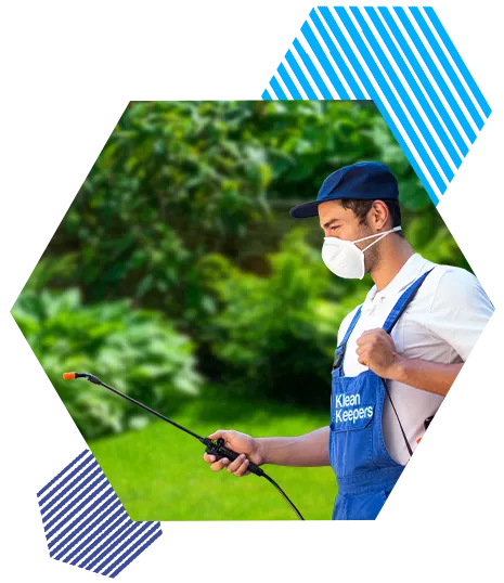 Pest Control right feature image